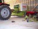 Tiedostonimi=Claas_255.JPG
Tiedostokoko=199kt
Koko=1792x1344
Lisätty=%15.%04.%2007 Claas_255.JPG