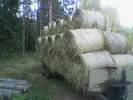 Tiedostonimi=Kuva(344).jpg
Tiedostokoko=39kt
Koko=640x480
Lisätty=%20.%11.%2005 Kuva(344).jpg