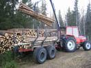 Tiedostonimi=Lanneveden hakkuut 009.jpg
Tiedostokoko=68kt
Koko=640x480
Lisätty=%19.%11.%2005 Lanneveden hakkuut 009.jpg