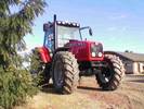 Massey Ferguson 6465.jpg