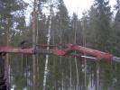 Tiedostonimi=kuvat._1187.JPG
Tiedostokoko=66kt
Koko=633x474
Lisätty=%04.%04.%2006 kuvat._1187.JPG