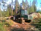 timberjack_1110_1.jpg