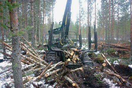 Timberjack 1010
Meinas olla hiukan pehmeitä ojalinjoja keväällä ! sai pöllit pois vielä ku apuun tuli valmet 840
Avainsanat: 1010