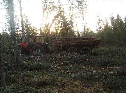 mettäkone?
valmet 655 puun ajossa
Avainsanat: valmet