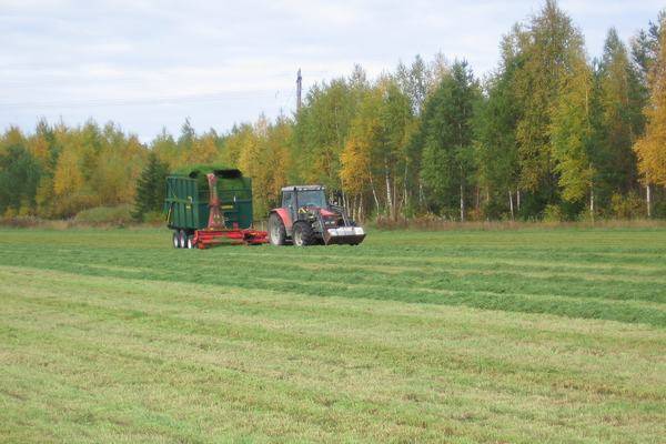 rehun tekoa syksyllä 2006
MF 6270, JF 900 ja multiva 170 rehukontilla
Avainsanat: verku jf multiva